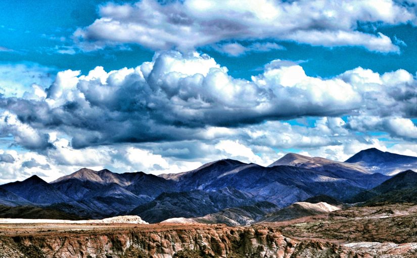 Jak to probíhá osm týdnů před startem?